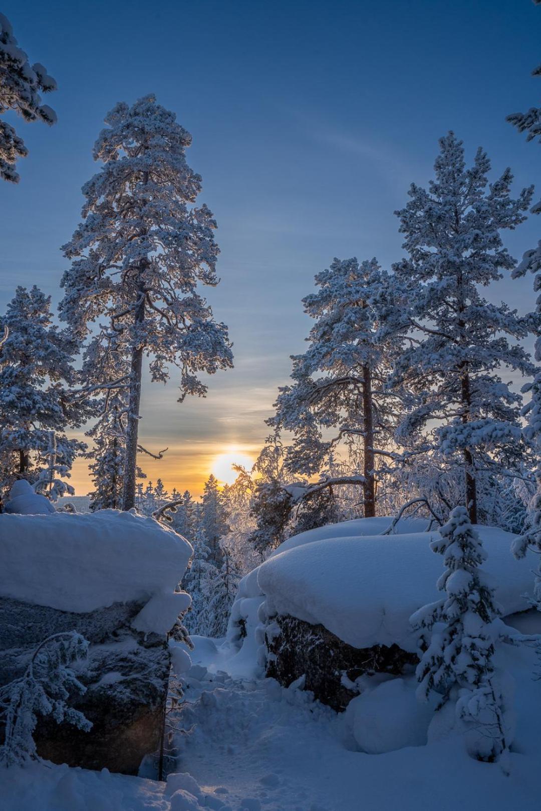 Palojaerven Lomakeskus Villa Sonka Buitenkant foto