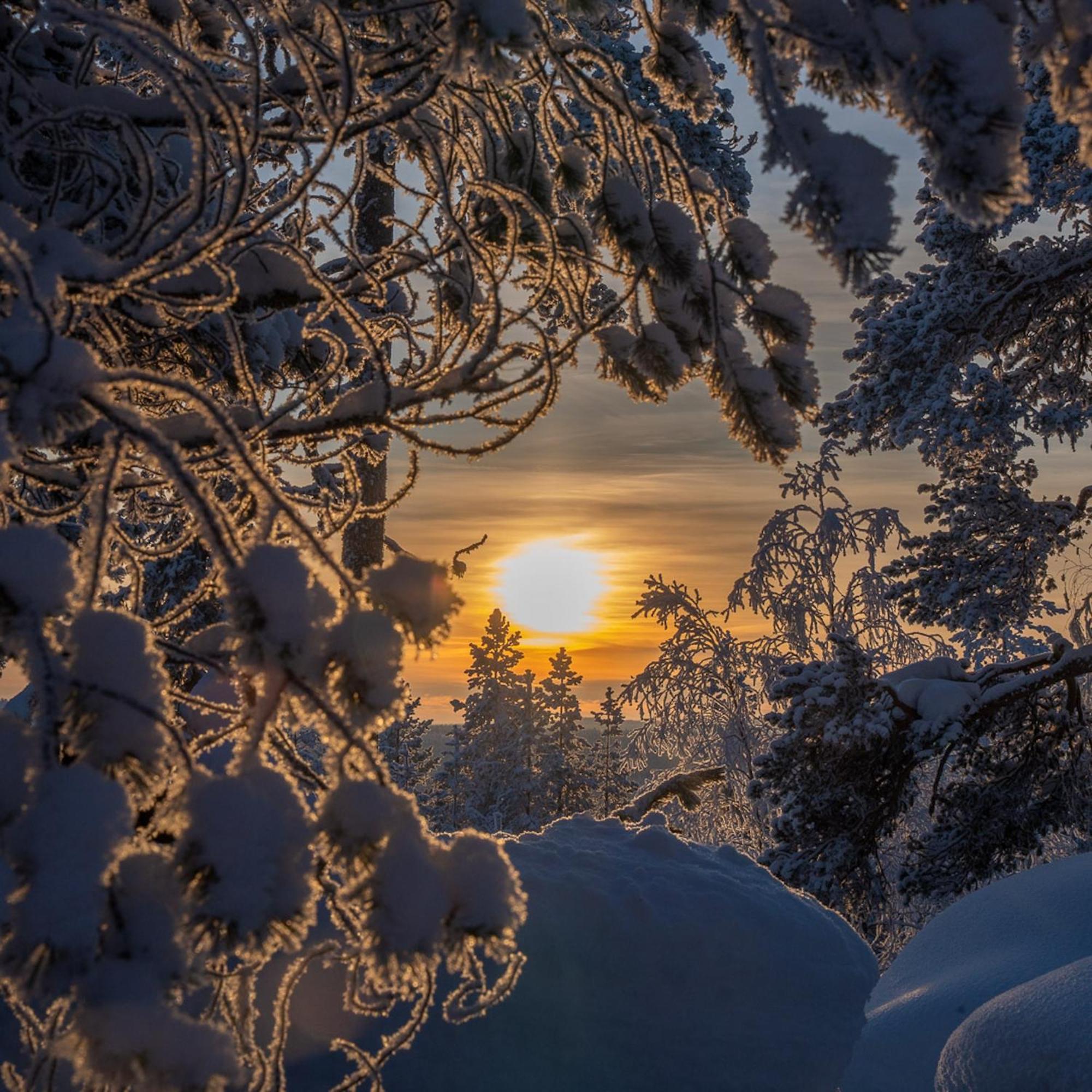Palojaerven Lomakeskus Villa Sonka Buitenkant foto